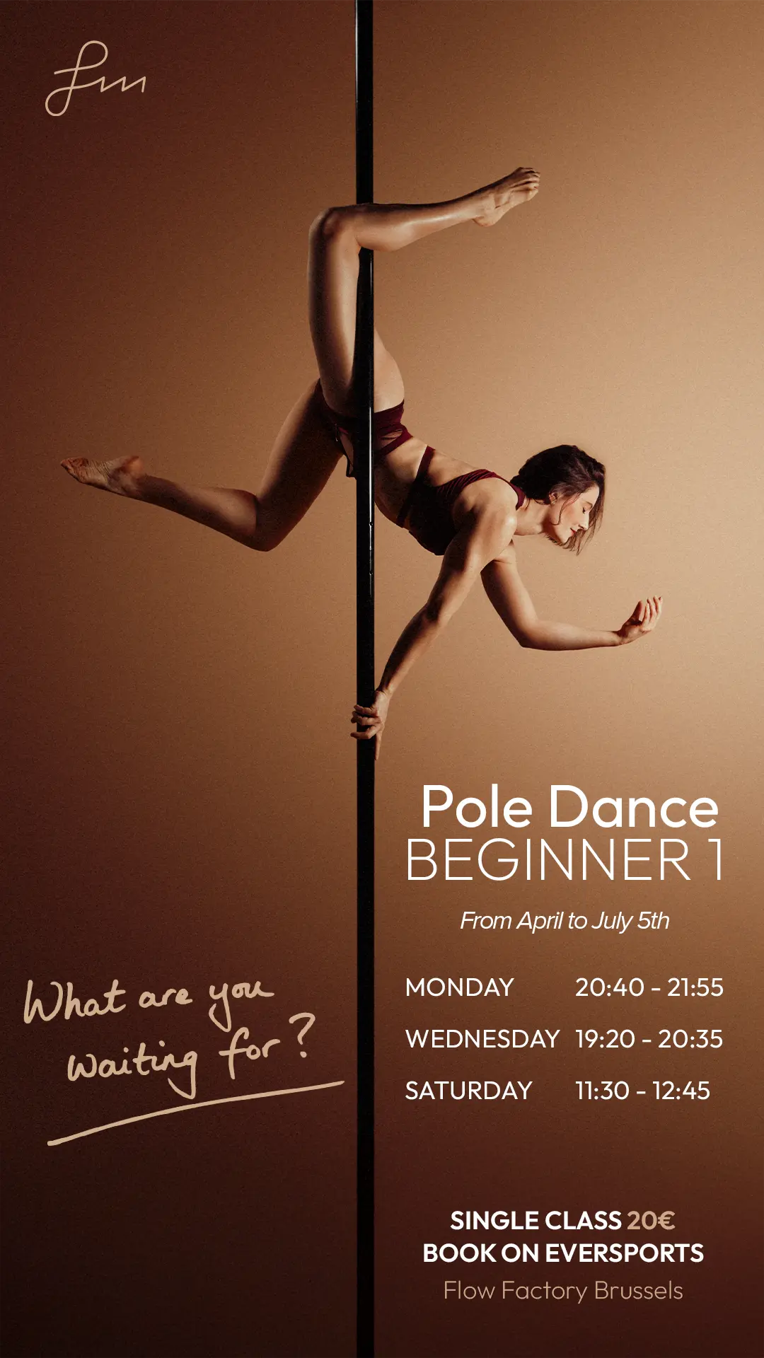 Pole Dance Beginner