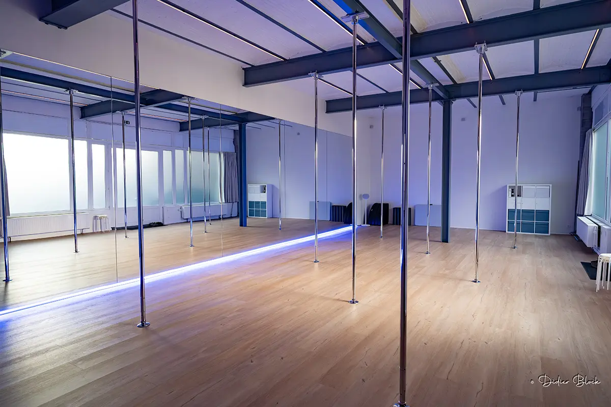 Flow Factory Brussels studio with poles and mirrors